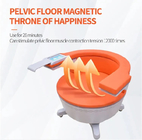 Non Invasive Vaginal Tightening Machine Tesla Ems Incontinence Pelvic Floor Chair